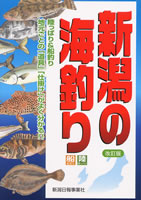 新潟の海釣り
