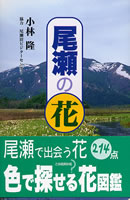 尾瀬の花