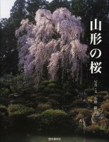山形の桜