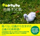 酒田で生まれた白鳥3兄弟