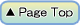 Page Top